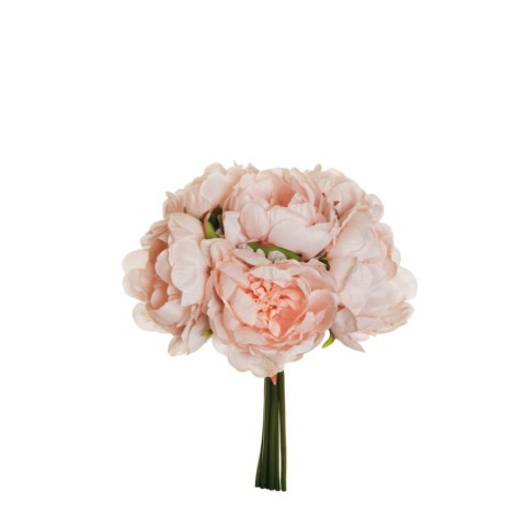 BUSH PEONY X6 PINK CREAM 29CM